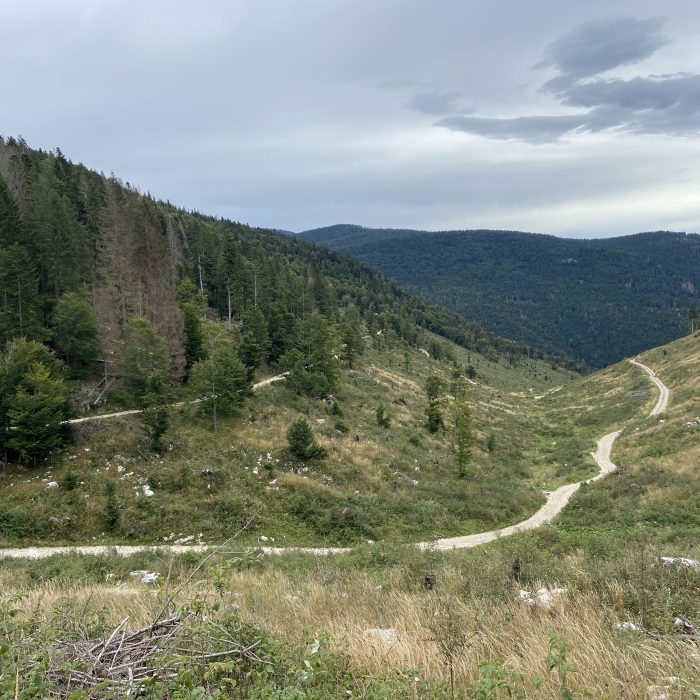 IMG_1917