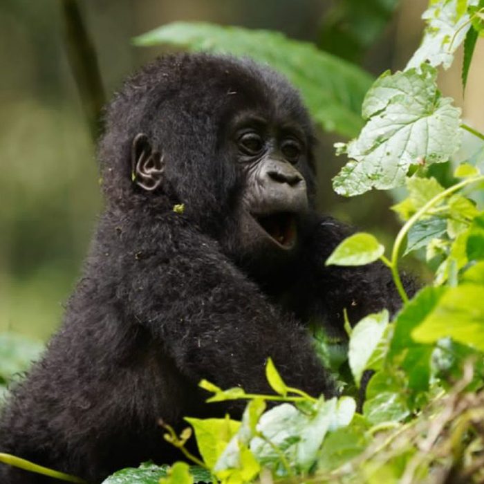 rwanda-03